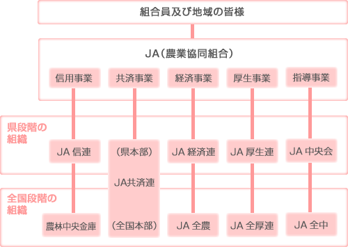 組織図