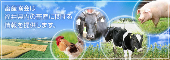 畜産協会は福井県内の畜産に関する情報を提供します。